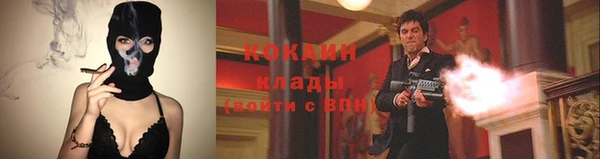 сатива Баксан