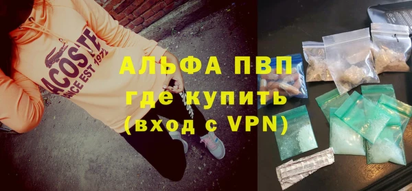 сатива Баксан