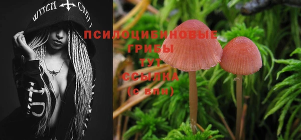дживик Балабаново